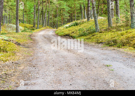 L'ahus, Suède. Route de campagne, dans une forêt de pins après une pluie légère. Banque D'Images