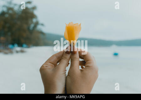 YelloWoman woman holding fleur jaune en fleur dans la main handw Banque D'Images