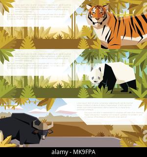 Image vectorielle de l'ensemble de télévision des bannières avec les animaux d'Asie, panda et tigre le guar Illustration de Vecteur