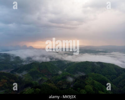 La dérive du brouillard du matin par des collines basses, vu Takataniyama terre près du Camp de Miyoshi, Japon Banque D'Images