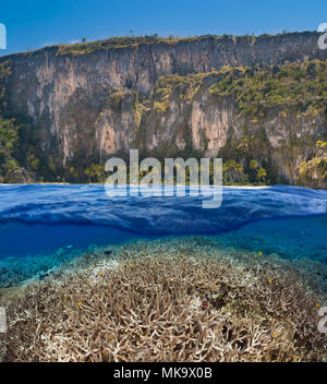 Une scène avec un petit récif de corail dur ci-dessous et une au-dessus de l'île indonésienne. Banque D'Images