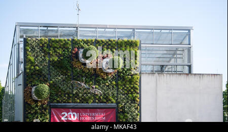07 mai 2018, l'Allemagne, Stuttgart : Uni Hohenheim hightech vertical du jardin suspendu à un immeuble le jour de sa dédicace. La façade jardin avec arbres en rotation a été rendu possible par le démarrage depuis le Visioverdis "Hohenheim'. Photo : Sebastian Gollnow/dpa Banque D'Images
