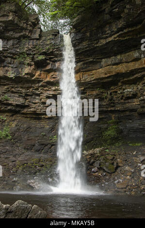 Hardraw Force, la plus haute cascade ininterrompue de l'Angleterre, s'écoule sur Hardraw cicatrice dans le paysage calcaire du parc national des Yorkshire Dales. Banque D'Images