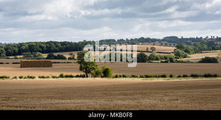 Bottes de foin sont empilés dans les champs après la récolte est de Leicester en Angleterre's Midlands. Banque D'Images