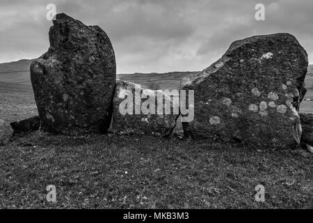 Swinside Stone Circle, près de Pont Duddon, Lake District, Cumbria Banque D'Images