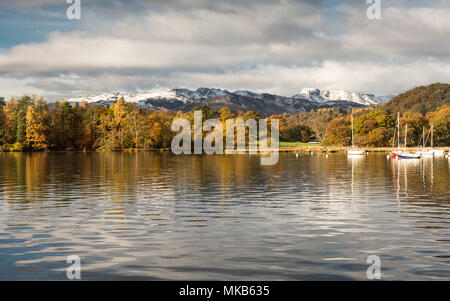 Les arbres forestiers afficher couleurs d'automne sur la rive du lac Winderemere, dans les montagnes enneigées de Langdale, à Ambleside en Angleterre's Lake Dist Banque D'Images