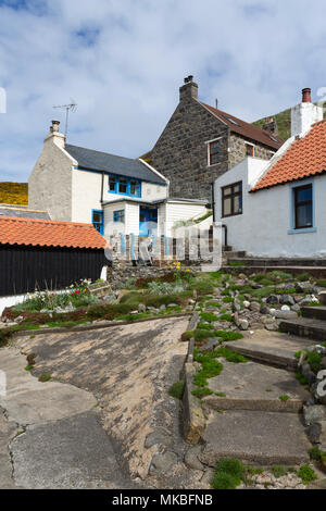 Chalets sur le front de mer dans le village de pêcheurs de Crovie, Aberdeenshire, Scotland, UK Banque D'Images