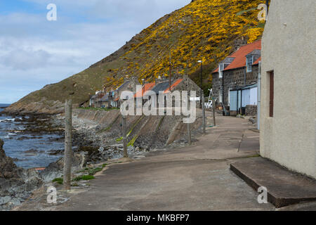 Chalets sur le front de mer dans le village de pêcheurs de Crovie, Aberdeenshire, Scotland, UK Banque D'Images