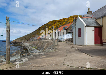 Chalets sur le front de mer dans le village de pêcheurs de Crovie, Aberdeenshire, Scotland, UK Banque D'Images