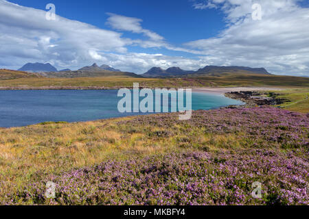 À la recherche de l'autre côté de la Baie d'Achnahaird avec Heather à la montagne d'Inverpolly dans la distance. Assynt, en Écosse. Banque D'Images