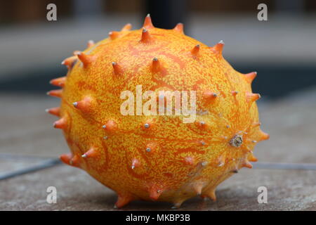 Libre de tout un melon à cornes kiwano Banque D'Images