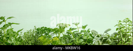 Feuille d'herbes sur fond vert Banque D'Images