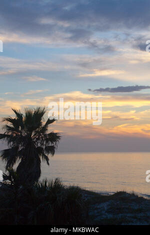 Vue d'un colorées, et coucher de soleil sur le golfe du Mexique en Floride avec une silhouette du palmier dans l'avant-plan Banque D'Images