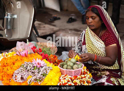 Sur les rues de Varanasi cette femme est assise à son travail quotidien pour les hindous de guirlandes à accrocher autour de leur divinité. Banque D'Images