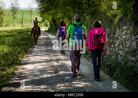 ASCIANO, Toscane, Italie - 25 Avril 2018 : trekking, Asciano avec des ravins, des fermes de cheval dans un paysage, sont arrivés à Serre di Rapolano connu pour la trave Banque D'Images