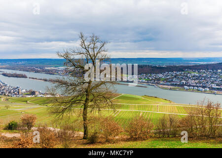 Vue de Niederwalddenkmal à Ruedesheim am Rhein, Allemagne, sur le Rhin jusqu'à la ville de Bingen Banque D'Images
