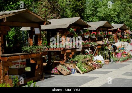 Sokobanja, la Serbie, le 02 mai 2018 : stand de marché dans la rangée de décrochage, la vente de fleurs et du sol pour l'ensemencement en centre de la place de la pointe de Sokobanja à Banque D'Images