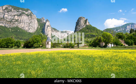 Vue de la forêt de Saou dans la Drôme en France Banque D'Images