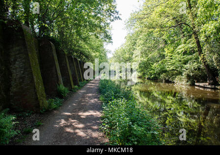 Le soleil brille à travers tacheté sur le bois au Canal de Basingstoke à Surrey. Deepcut Banque D'Images