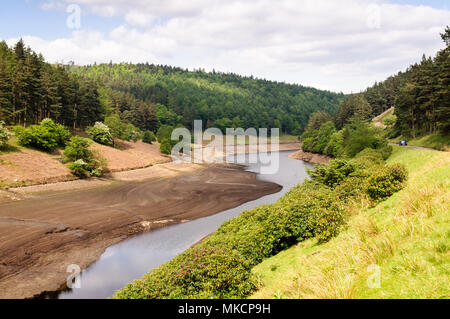 Les faibles niveaux d'eau dans le réservoir du Derbyshire Derwent pendant une période de sécheresse en Angleterre's Peak District National Park. Banque D'Images