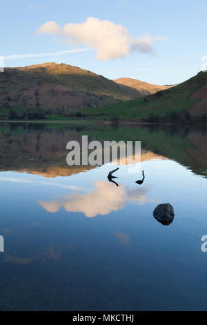 Rochers de Brock et reste Dodd reflète dans l'eau, Lake District Frères Banque D'Images