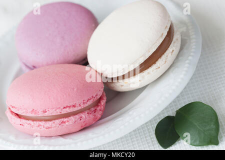 Rose, blanc et violet macarons de close-up en plaque blanche, pétales vert printemps, tendre pastel arrière-plan. Soft focus. Matin romantique, cadeau pour cher Banque D'Images