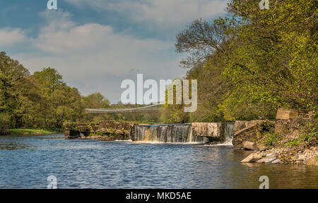 Vue panoramique de la Grade II, prévue monument ancien de Whorlton pont suspendu au-dessus de la Rivière Tees, reliant le comté de Yorkshire et D Banque D'Images