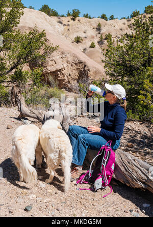 Female hiker avec chiens Golden Retriever de couleur platine marque une pause pour boire un verre Banque D'Images