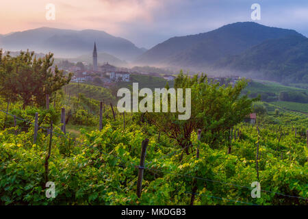 Lever du soleil sur les champs de vigne Prosecco à Guia, Valdobbiadene, Trévise, Vénétie, Italie Banque D'Images