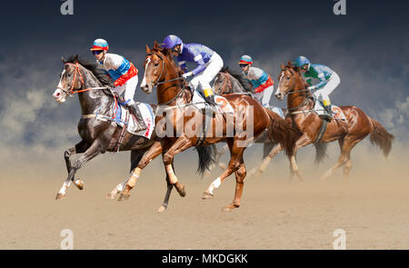 Quatre chevaux de course de cou cou dans une concurrence acharnée pour la ligne d'arrivée Banque D'Images