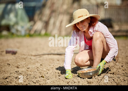 Farmer woman oignons ciboulette dans son jardin Banque D'Images