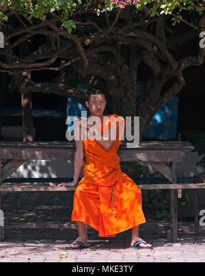 Un moine bouddhiste se trouve sur un bech sous un grand arbre d'ombrage à Luang Prabang, Laos. Banque D'Images