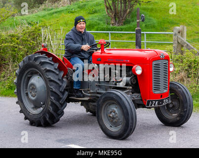 Tracteur Massey Ferguson 35 en peinture rouge vif à un tracteur vintage rally Banque D'Images