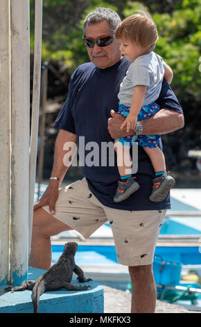 Le père et le fils et l'iguane marin à Puerto Ayora, Galapagos, Équateur. Banque D'Images