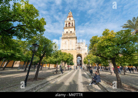 Atrium, le Patio de los Naranjos, Mezquita, Mezquita-Catedral de Córdoba ou la cathédrale de la conception de Notre Dame, Cordoue Banque D'Images