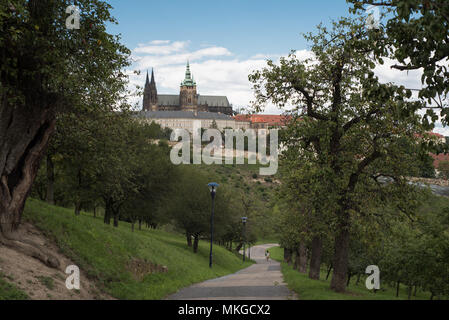 Vue sur le château de Prague (Pražský hrad) de Petřín Petřínské sady (Jardins) Banque D'Images