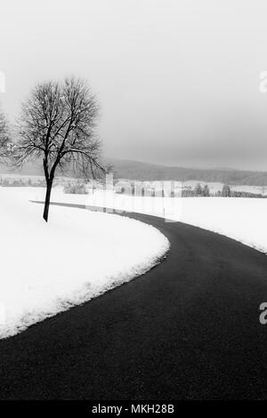 Une route sinueuse au milieu de la neige, avec des arbres sur le côté Banque D'Images