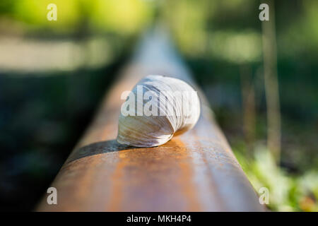 Ancienne ligne de chemin de fer dans une zone forestière. Sur l'escargot de fer. La saison de printemps. Banque D'Images