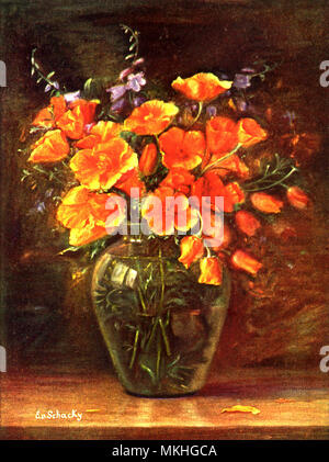 Poppies in glass Vase Banque D'Images