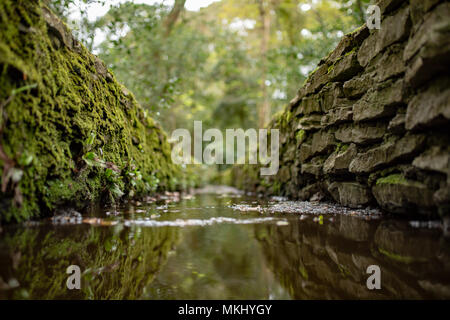 Photographie couleur prise dans les cours d'eau bordé de pierres en premier plan qu'avec l'accent (f1.4) Banque D'Images