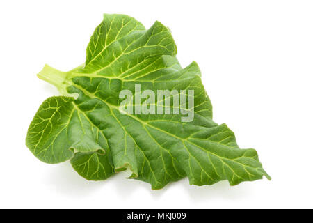 Feuille de Rhubarb fraîche isolée sur blanc Banque D'Images