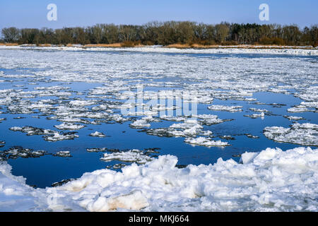 Plaques de glace sur les rives de l'Elbe dans Kirch Werder, Hambourg, Allemagne, Europe, Eisschollen am Elbufer dans Kirchwerder, Deutschland, Europa Banque D'Images