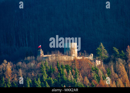 Château à Rytro, Village de la Pologne. Banque D'Images