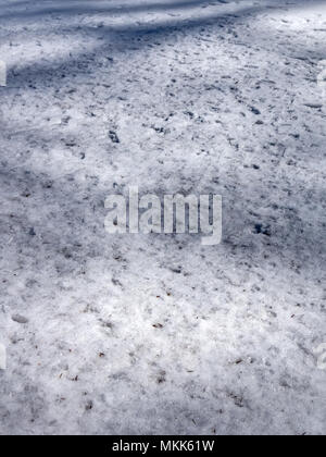 La fonte des neiges au printemps en montagne Banque D'Images