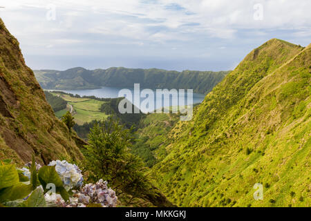 Lagoa Azul avec Hortensia Bleu Plantes, Sao Miguel, Açores Banque D'Images