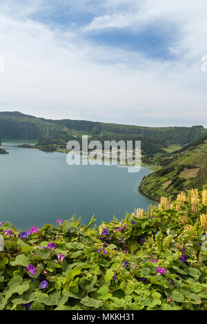 Fleurs de Lagoa Verde avant inf, Sao Miguel, Açores, Portugal, Europe Banque D'Images