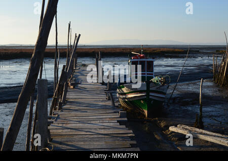 Marée basse à l'palaphitic port de pêche artisanale de Carrasqueira, estuaire de la rivière Sado, Portugal Banque D'Images