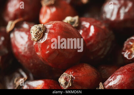 Libre de matières premières fruits séchés dog rose (rosa canina) Banque D'Images