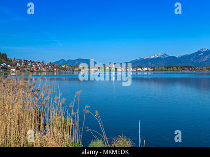 Le lac Hopfensee près de Füssen, en Bavière, Allemagne Banque D'Images