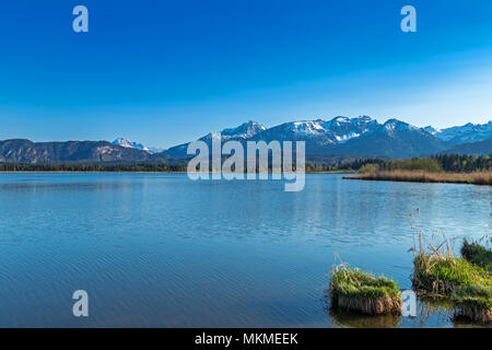 Le lac Hopfensee près de Füssen, en Bavière, Allemagne Banque D'Images